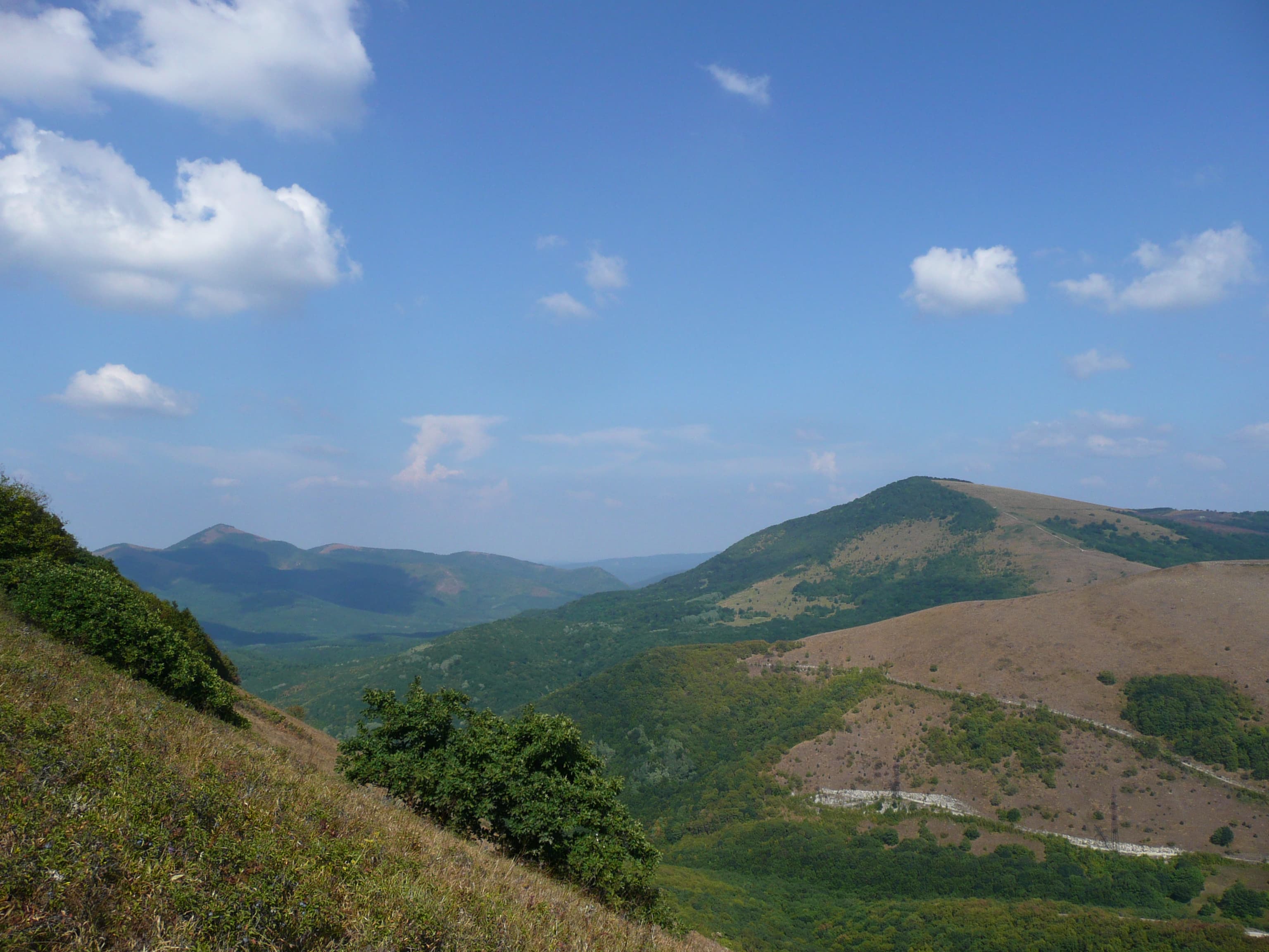 Отдых в Геленджик